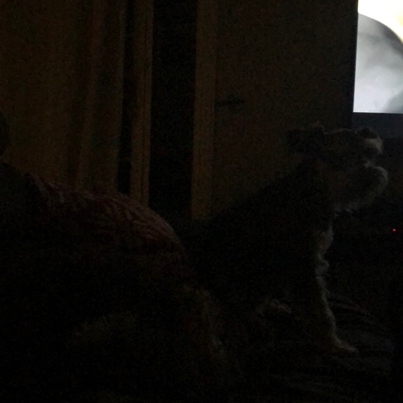 Meet your Posher, Brenda - Picture 1 of 1